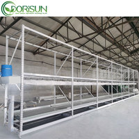 Grand système de culture hydroponique vertical sur mesure 4x8 5x10, étagère de culture hydroponique multi-niveaux, banc roulant hydroponique