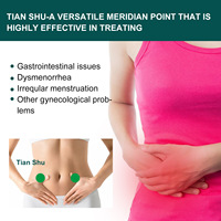 Patch Herbal Hydratant pour le Soulagement de la Constipation, Laxatif Intestinal Approuvé, Soin Santé, Patch Hydratant pour les Intestins