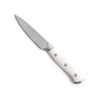 Xyj couteaux personnalisés en acier inoxydable 3cr13, 3.5 pouces, lame en satin, couteau pour fruits avec manche en abs blanc
