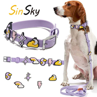 Collier et laisse pour chien et chat SinSky, imperméable, luxe, PVC, avec breloque en silicone, accessoires tendance.