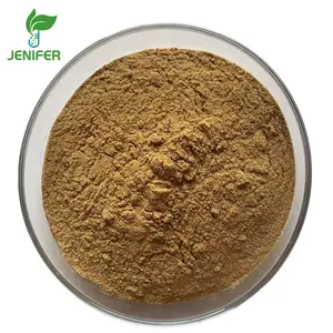 Chinese Factory Supply herb gentian root extract