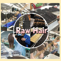 Extensions de cheveux humains vierges vietnamiens non traités, double trame, bouclés style Pixie, 100 % cheveux naturels, fournisseur de cheveux bruts