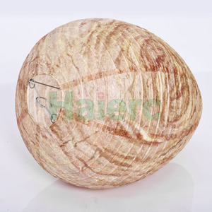 Haierc-<span class=keywords><strong>Nid</strong></span> à guêpes pour l'extérieur, piège à abeilles - Product Image 5