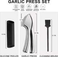 Presse-ail manuelle avec éplucheur en silicone et brosse de nettoyage, en alliage de zinc, outil de cuisine durable pour la cuisine