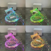 Kit de stimulation visuelle par fibre optique pour besoins sensoriels, lumières LED à fibre optique pour relaxation autistique