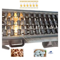Mini machine automatique de niveleuse d'oeufs pour le tri de la lumière de nettoyage-Bougie Grade Pack Philippines 220V Core Motor for Bakeries
