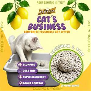 ทรายแมวเบนโทไนต์ ดงไนเพ็ทส์ ย่อยสลายได้ กลิ่นหอม จับตัวเป็นก้อนเร็ว ปราศจากฝุ่น 99% น้ำหนัก 8 กก. - Product Image 1