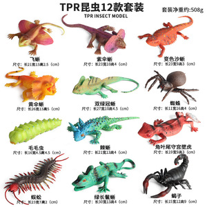 Juguete de Simulación Cognitiva TPR: Modelo de Animal Marino, Insecto, Dinosaurio, Pez Espumoso y Ratón para Apretar - Product Image 3