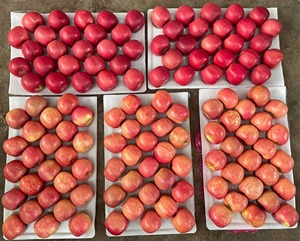 Nuovo Raccolto 2026: Mele Fuji Rosse Fresche dalla Cina, Qualità Premium, Dolci e Succose, Vendita all'Ingrosso, Grado Export 80mm/85mm - Product Image 2
