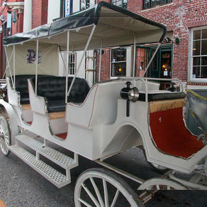 स्टील सफेद/काले 8-10 व्यक्ति जीडब्ल्यू पर्यटन के लिए शाही घोड़े की सवारी - Product Image 2