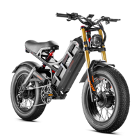 Bicicleta Eléctrica 52V 250W con Cuadro de Acero Aleado, Batería de Litio de 60Ah, Frenos de Disco Hidráulicos y 7 Velocidades para Hombres Adultos