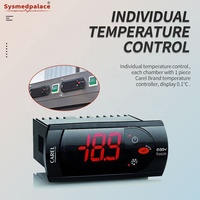 Réfrigérateur mortuaire certifié CE ISO avec contrôle intelligent de la température, armoire congélateur pour corps de défunt