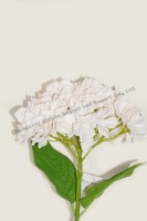 Kustomisasi pabrik buket bunga Hydrangea buatan warna sentuhan hidup alami untuk dekorasi rumah pernikahan