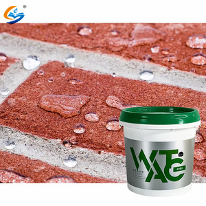 Nuevo sello impermeable instantáneo respetuoso con el medio ambiente líquido transparente impermeable pegamento impermeabilización sellador pintura de sellado - Product Image 5