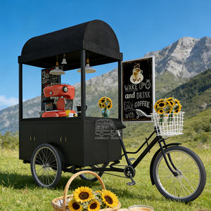 Vélo cargo électrique avec glacière pour boissons et glaces, avec système de distribution par poussoir, à vendre - Product Image 3