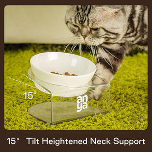 ANYA Logotipo Personalizado <span class=keywords><strong>Pet</strong></span> Tigela Transparente para Gatos e Cães <span class=keywords><strong>Pet</strong></span> Water <span class=keywords><strong>Bowl</strong></span> Double Bowls Suprimentos Único Double <span class=keywords><strong>Bowl</strong></span> Set Com Suporte - Product Image 2