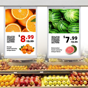 ป้ายราคาอิเล็กทรอนิกส์แบบไร้สายขนาด 10.1 นิ้ว 2.4G LCD ด้านเดียว ESL พร้อมการเข้ารหัส AES 128 บิต OTA NFC ระบบจัดการผ่านคลาวด์ - Product Image 1