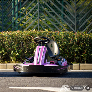 <span class=keywords><strong>Kart</strong></span> électrique professionnel 600W - Vitesse maximale 26 km/h, double amortisseur, pour la course et l'extérieur - Product Image 1