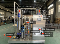 Ligne de production de boissons gazeuses à haute capacité avec contrôle PLC à écran tactile 1000-2000 canettes/heure 380V/220V