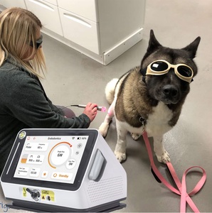 Sistema de Terapia Láser Frío, Máquina de Terapia Láser de Clase 4 para Veterinarios Profesionales - Product Image 2