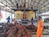 1-2 TPH palmolierij op basis van CPO, van verse palmvruchten tot palmolie via dorsmachine, sterilisator, digester, dubbele schroefoliepers