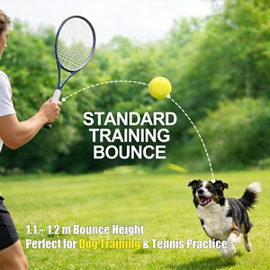 Ücretsiz özel logo çevre dostu atma köpek çiğneme oyuncakları toptan kauçuk <span class=keywords><strong>Pet</strong></span> tenis topları interaktif köpek oyuncak top <span class=keywords><strong>Pet</strong></span> Bite oyuncak - Product Image 3