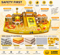 Équipement de terrain de jeu intérieur personnalisé et mignon pour centres commerciaux et gymnases - Construction en PP/aluminium, haute performance, directement de l'usine