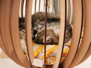 Клетка для домашних животных, стильный Крытый домик для кошек и собак, удобное уютное гнездо для ваших питомцев - Product Image 3