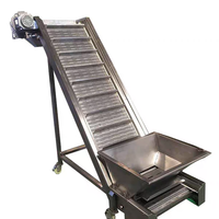 Automatische Z-type modulaire bandtransportband voor de groente- en fruitverwerkingsindustrie