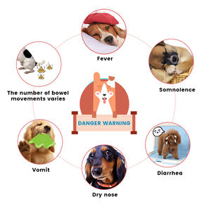 2025 бестселлер, ветеринарная продукция, экспресс-тест на парвовирус, собачий набор для обнаружения CPV Ag - Product Image 5