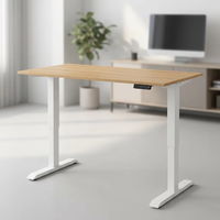 Bureau debout électrique à moteur unique, cadre de bureau réglable en hauteur à colonne inversée à 2 niveaux, table de bureau motorisée assis-debout