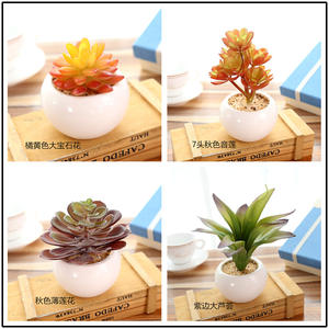 Miniplantas suculentas artificiales surtidos, con macetas para decoración del hogar, planta de aloe <span class=keywords><strong>vera</strong></span> artificial para interior, <span class=keywords><strong>en</strong></span> macetas de cerámica - Product Image 5