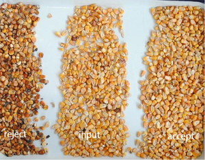 Machine de tri de couleur des céréales polyvalente Wenyao, machine de tri de couleur du sorgho, machine de tri de couleur de l'orge pour la séparation - Product Image 5