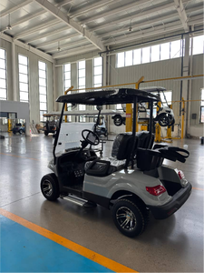 Carrito de Golf Club Car de 7-8 Plazas, Metal, Acero, Plástico, Motor de 4KW/5KW/7KW, Velocidad de 70Km/h - Product Image 1