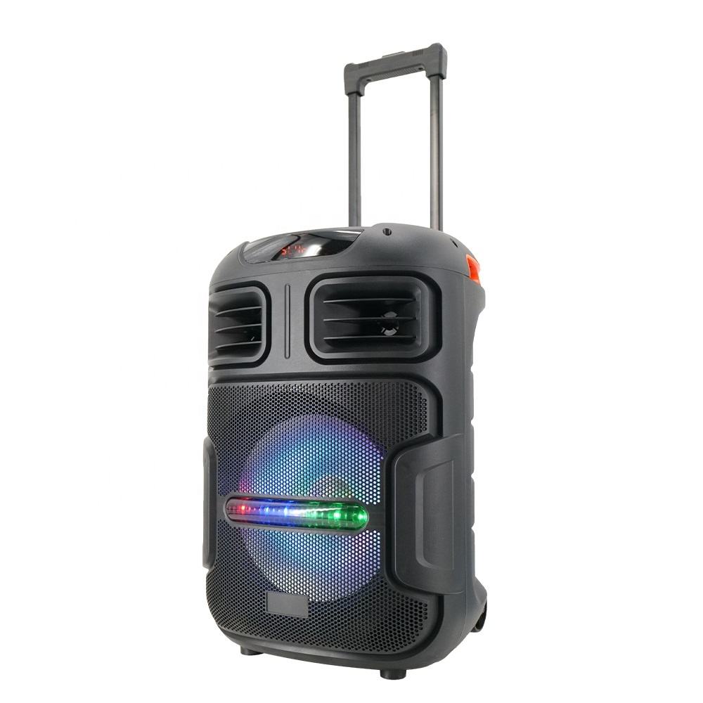 Wireless Bluetooth RCF 12 Speaker Party Outdoor Sound