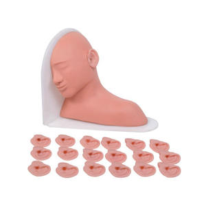 Modello avanzato di audiologia della testa e dell'orecchio del simulatore di ispezione dell'orecchio per la formazione medica di scienza medica - Product Image 1