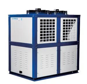 Condensing Unit For Cold storage 1 3 5 8 10 20HP Unidad Condensadora Refrigeration Unit Air Cooling Room Condensing Unit V Type