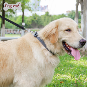 Conjunto de correa de collar de perro de nailon de algodón de alta calidad con logotipo personalizado de liberación rápida estilo moderno reflectante - Product Image 6