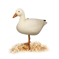 Décoration réaliste de canard blanc d'extérieur, ornement debout, piquet, décoration paysagère, leurre pour la chasse, leurre de canard