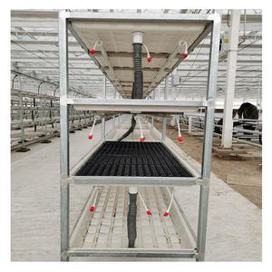 Neues Design Indoor Farming Gewächshaus Bank Ebbe und Flut Mehr schicht ige Micro <span class=keywords><strong>Greens</strong></span> Vertical Grow Rack - Product Image 3