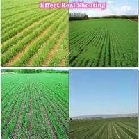 Semoir-Planteur de Fertilisant pour Blé, Riz Sec, Luzerne Monté sur Tracteur