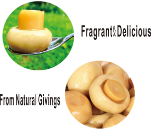 Cây trồng mới đóng hộp toàn bộ nút nấm nhà sản xuất giá nấm có thể - Product Image 3