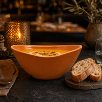 Ensemble de vaisselle en céramique moderne en forme de bateau de couleur unie bol à salade personnalisé en porcelaine soupe blé émaillé durable écologique