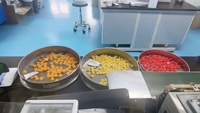 Bonbons Gommeux Protéinés Végétaliens à la Levure, Saveur Pêche, Marque Blanche, Snack Protéiné Fitness, Protéines par Sachet, Gommes Énergétiques avec BCAA EAA