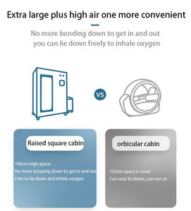Ruang Oksigen Terapi (HBOT) Elite Carbon Fiber 2-Person 2.0ATA Tekanan 93% Kandungan Oksigen untuk Kesehatan Keluarga Kelas Atas & Dukungan Pernapasan - Product Image 6