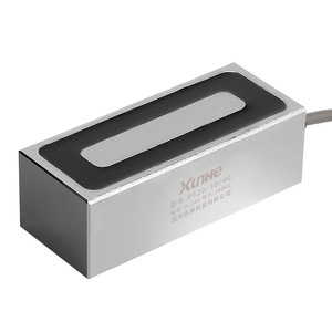 Xinhe Rectangular Electromagnet P120 50 40 DC24V 240kg Industrial Magnetic Lifter - Product Image 1