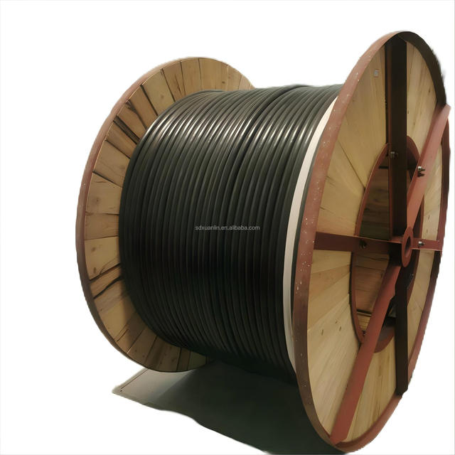 Factory NYY N2XY Power Cable PVC Outer Sheath XLPE Insulated Bare Copper Wire Single Multi CoreCustom Length Electric Cable