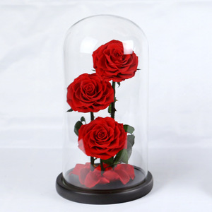 <span class=keywords><strong>Rose</strong></span> éternelle sous dôme <span class=keywords><strong>de</strong></span> verre, décor <span class=keywords><strong>de</strong></span> chambre d'enfant, fleur préservée, pour la saint-valentin des mères - Product Image 1