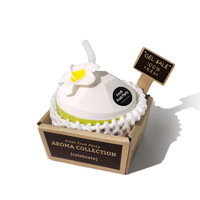 Diffuseur d'aromathérapie solide non parfumé à la noix de coco, longue durée (30-60 jours), désodorisant d'intérieur, désodorisant de toilettes, désodorisant de voiture