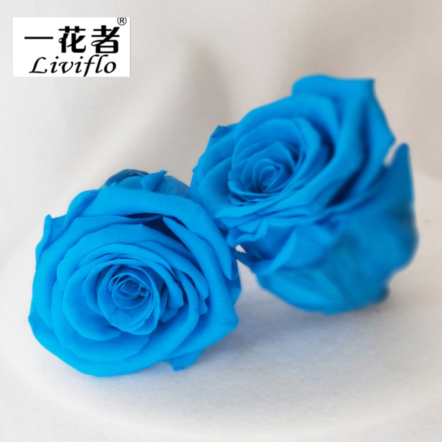 Bleu